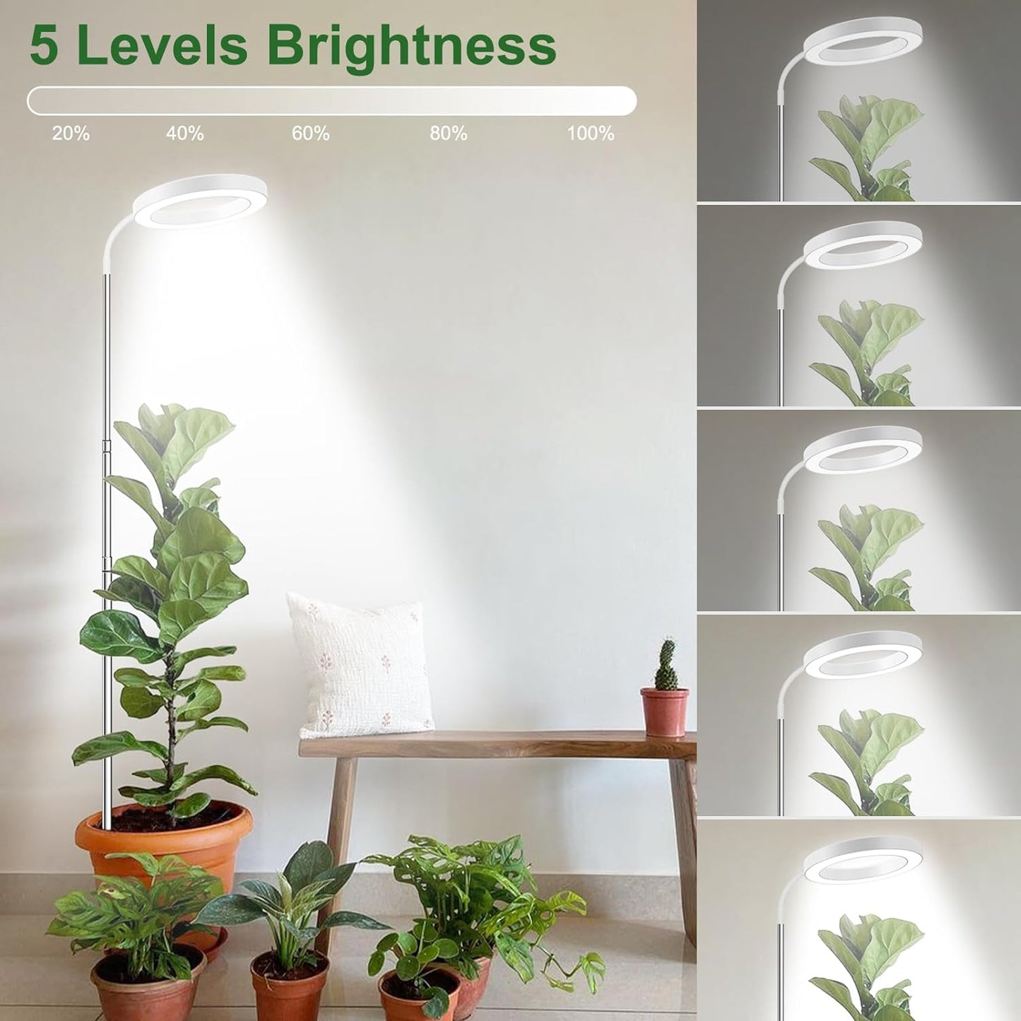 Height Adjustable Grow Light | Timer | 6500K