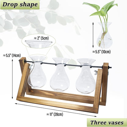 laffeya Plants Propagation Stations, Hydroponic Terrarium Kit- Desktop Glass Flower Planter 3 Glass Vase with Wood Stands for Home Office Decor, Plant Gifts for Plant Lovers (3 Bulb Vase C, Beige)