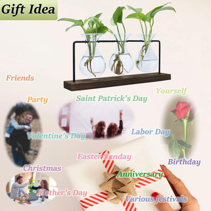 laffeya Plants Propagation Stations, Hydroponic Terrarium Kit- Desktop Glass Flower Planter 3 Glass Vase with Wood Stands for Home Office Decor, Plant Gifts for Plant Lovers (3 Bulb Vase C, Beige)