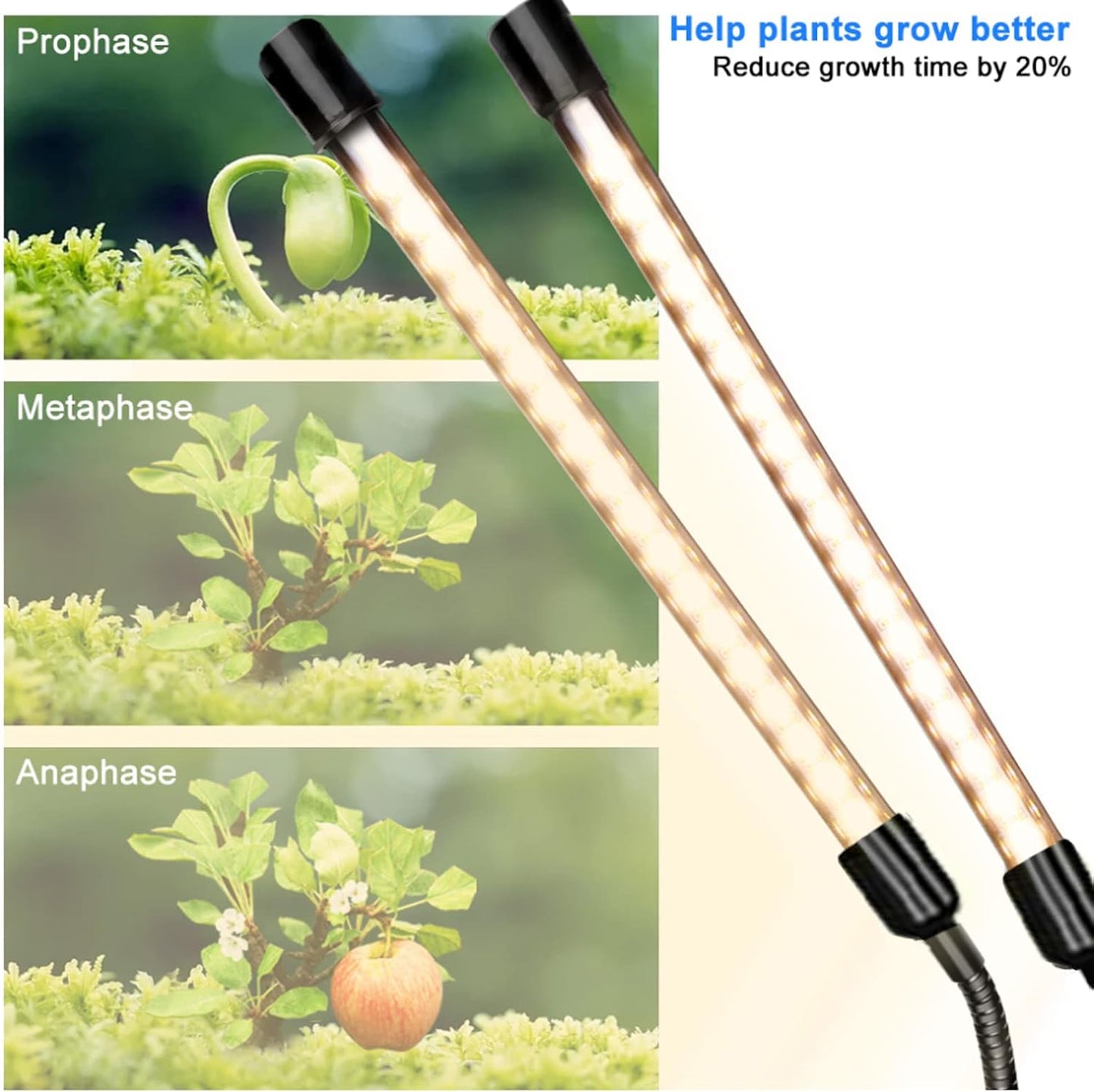 Grow Light Full Spectrum Plant Lights for Indoor Plants, Full Spectrum Plant Grow Lights, 9 Dimmable Levels Auto ON & Off with 3/9/12H Timer