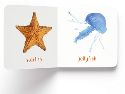Toddler Learning Boxset | 10 Board Books | Educational | Australia