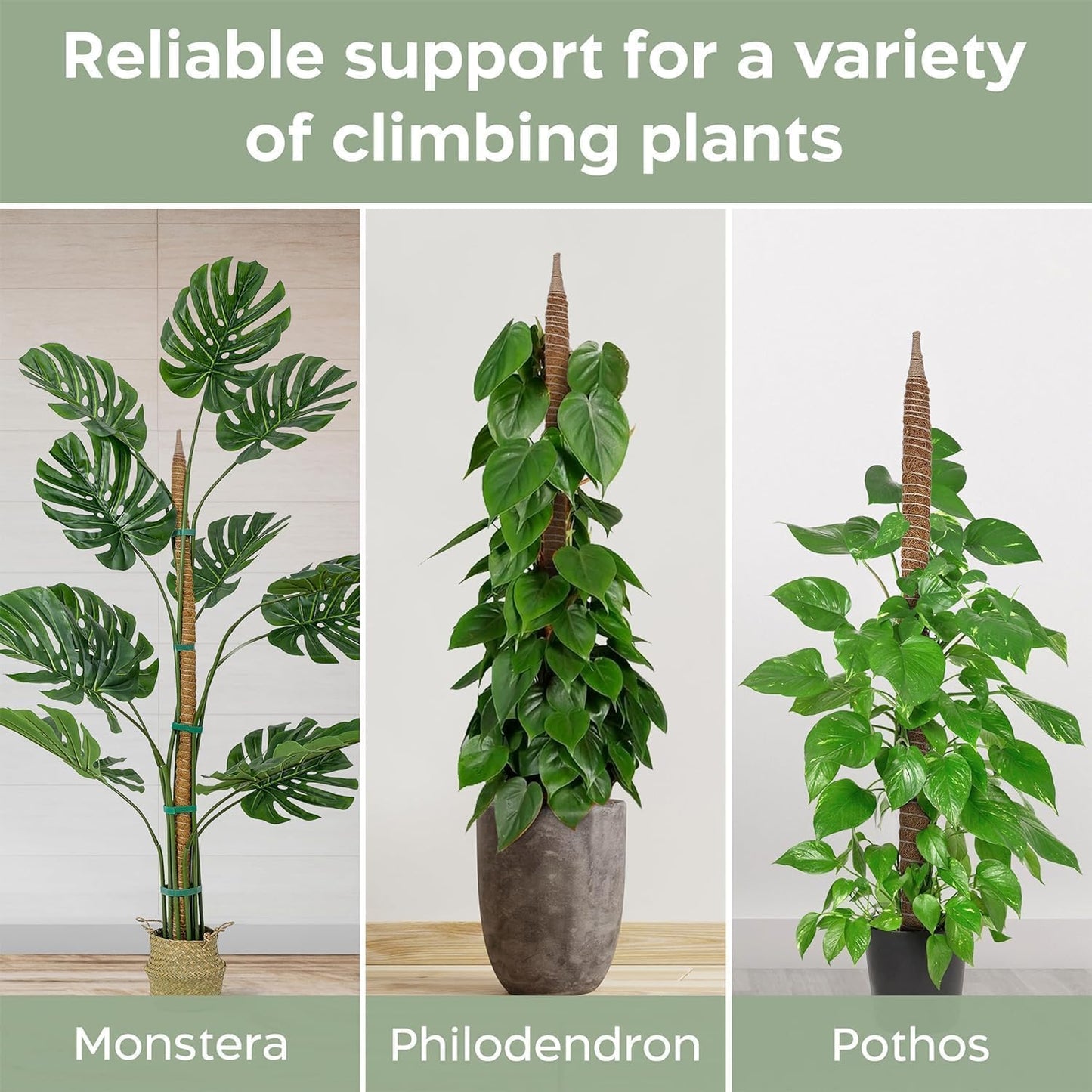 Monaeco Plants Moss Pole Support, 2PCS 120cm Bendable Vines Stakes, Flexible Ferns Climber Post, Customizable Coco Coir Rod Seedling Uphold for Monstera, Platycerium & Philodendrons Growth (120CM)