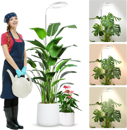 Height Adjustable Grow Light | Timer | 6500K