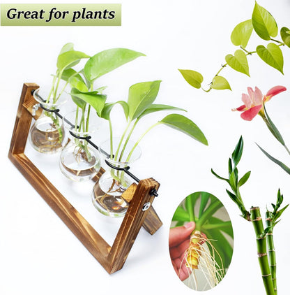 laffeya Plants Propagation Stations, Hydroponic Terrarium Kit- Desktop Glass Flower Planter 3 Glass Vase with Wood Stands for Home Office Decor, Plant Gifts for Plant Lovers (3 Bulb Vase C, Beige)