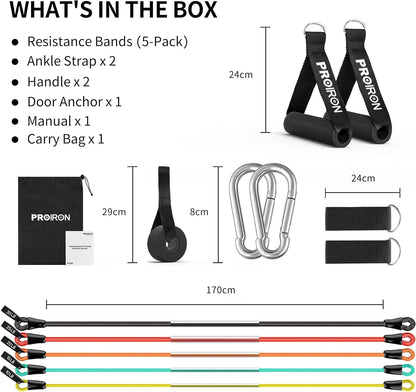 Gym Quality - Home Workout & Strength Training - Durable Exercise Bands