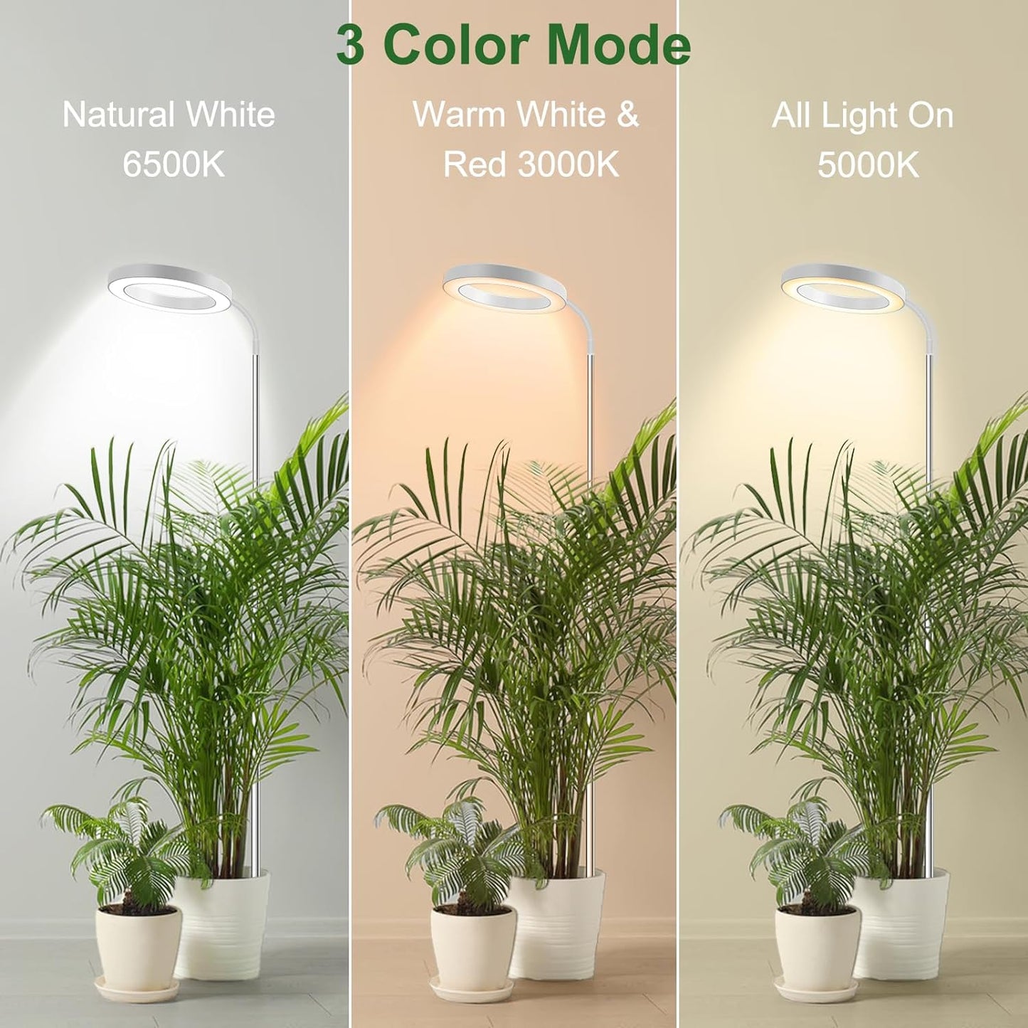 Height Adjustable Grow Light | Timer | 6500K
