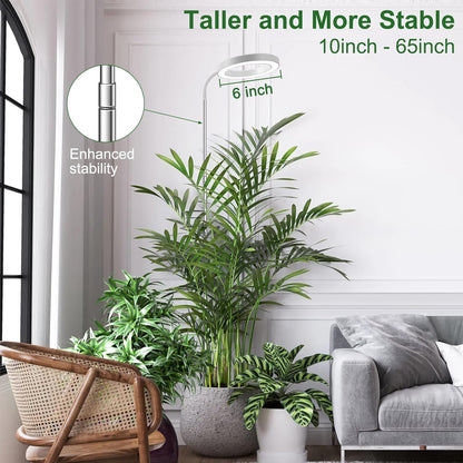 Height Adjustable Grow Light | Timer | 6500K