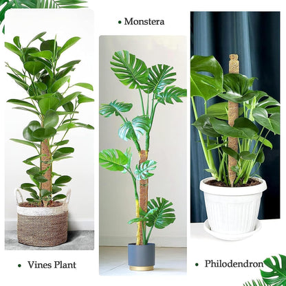 Monaeco Plants Moss Pole Support, 2PCS 120cm Bendable Vines Stakes, Flexible Ferns Climber Post, Customizable Coco Coir Rod Seedling Uphold for Monstera, Platycerium & Philodendrons Growth (120CM)
