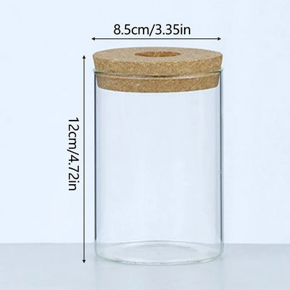 Soilless Plant Vase | Desktop Greenery Home & Office