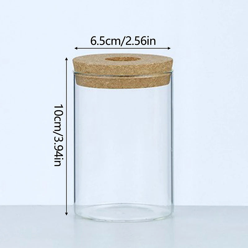 Soilless Plant Vase | Desktop Greenery Home & Office