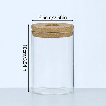 Soilless Plant Vase | Desktop Greenery Home & Office