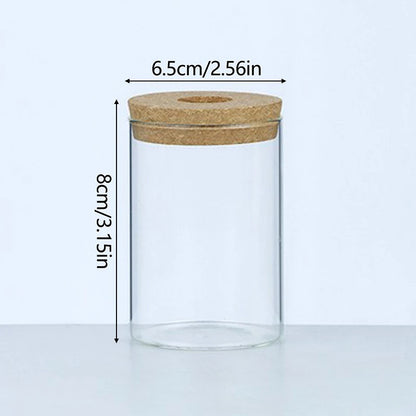 Soilless Plant Vase | Desktop Greenery Home & Office