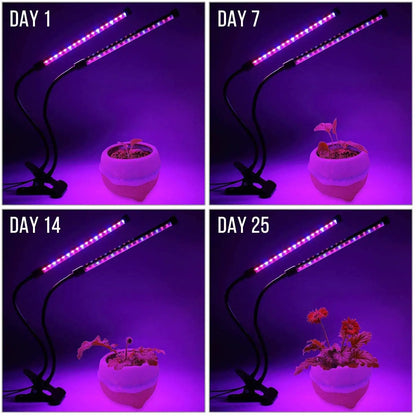 USB LED Plant Grow Light | 1/2/3/4 Head, 10 Dimming Levels, Timer