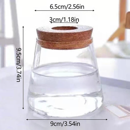 Soilless Plant Vase | Desktop Greenery Home & Office